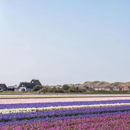 דירה By Dunes With Balcony Views יוליאנאדורפ