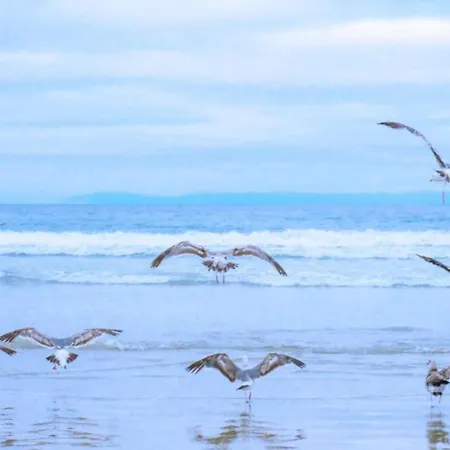 By Dunes With Balcony Views *