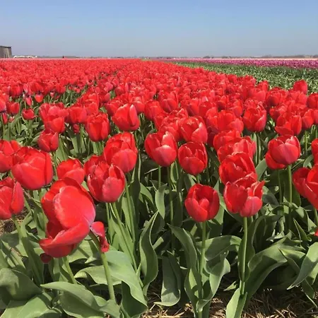 By Dunes With Balcony Views *