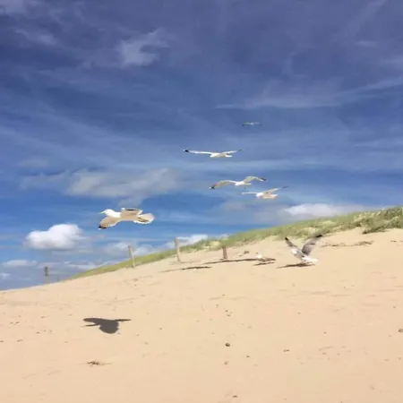 By Dunes With Balcony Views יוליאנאדורפ