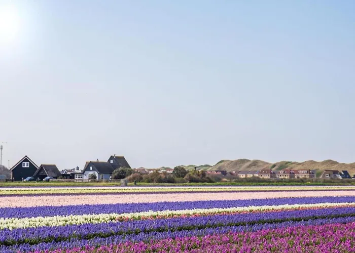Appartement By Dunes With Balcony Views Julianadorp