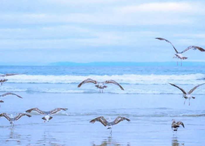 By Dunes With Balcony Views *