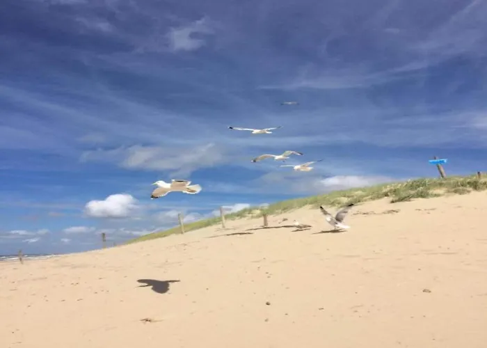 By Dunes With Balcony Views Julianadorp