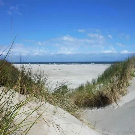 By Dunes With Balcony Views Julianadorp